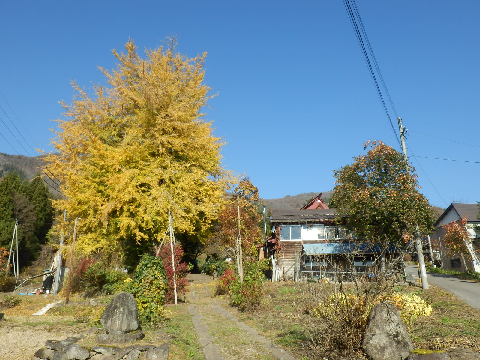 PB090060