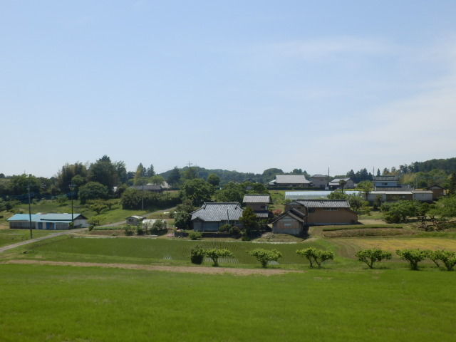 イメージ 5