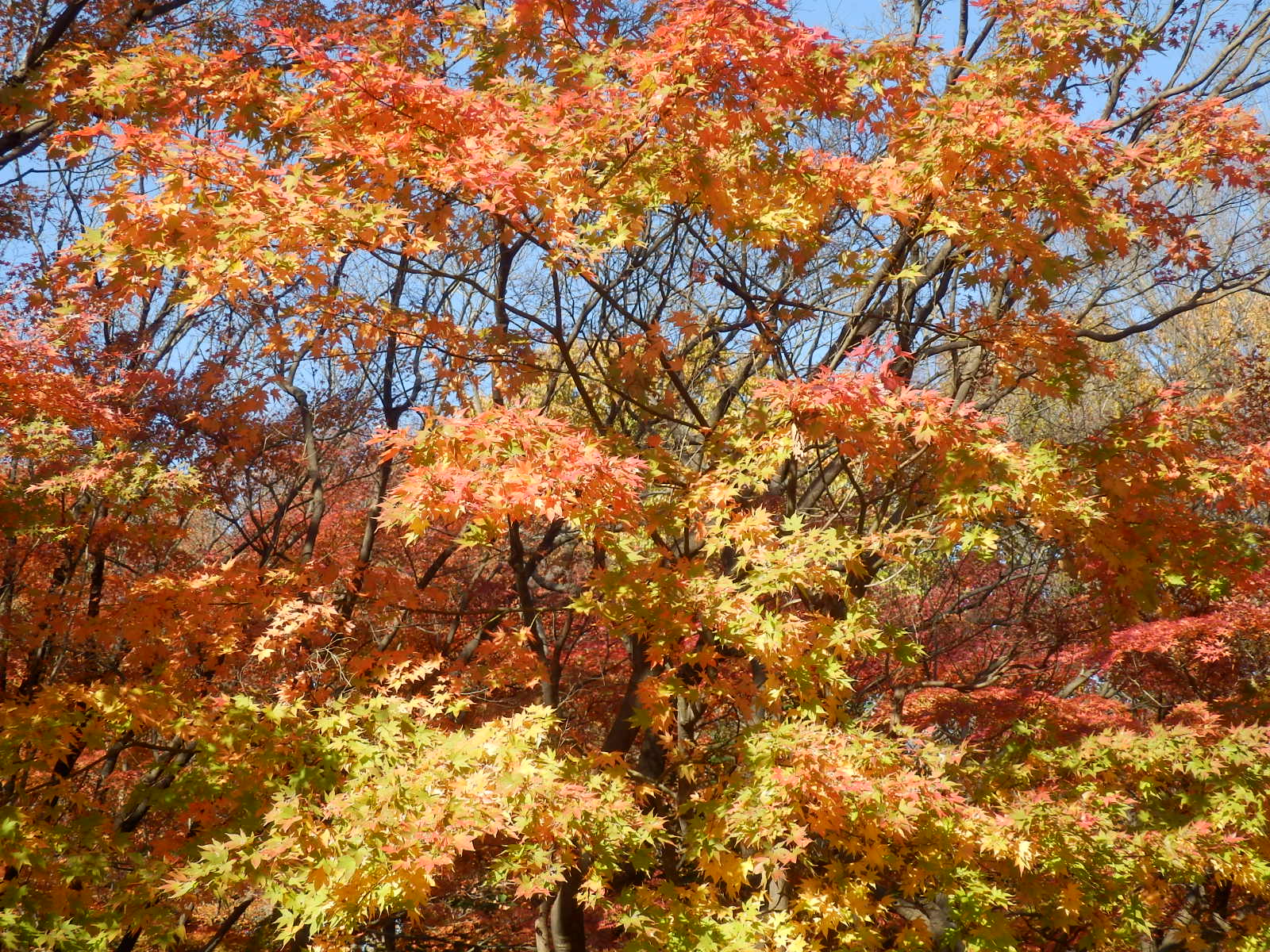 PC040012
