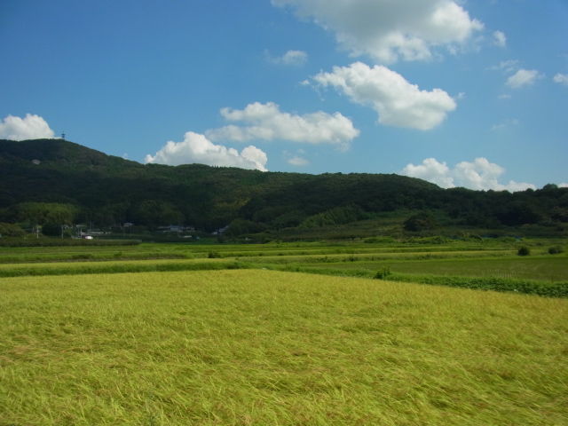 イメージ 6