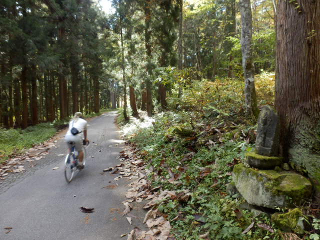 イメージ 17