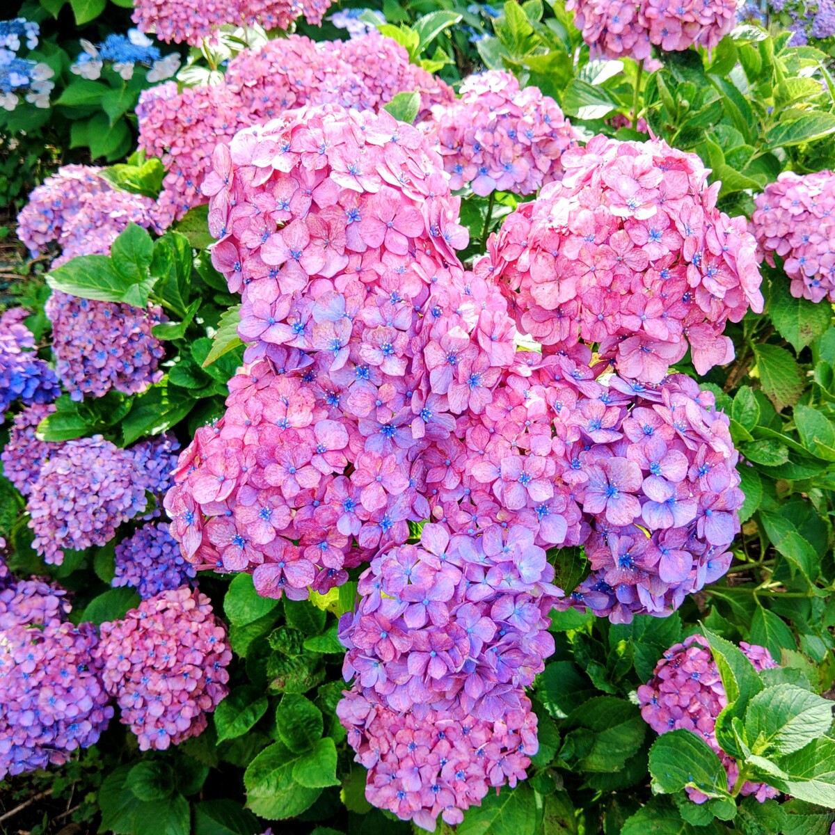 KIMG5946~2
