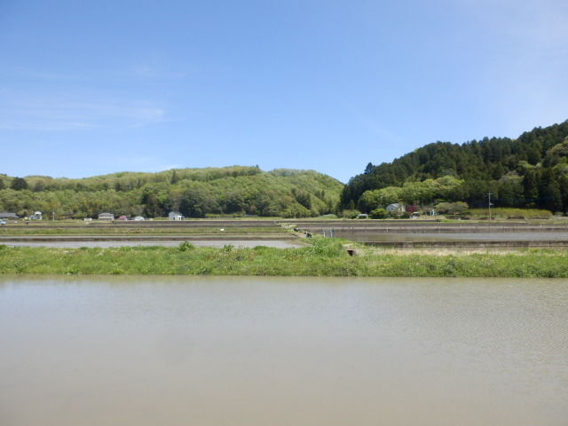 イメージ 15