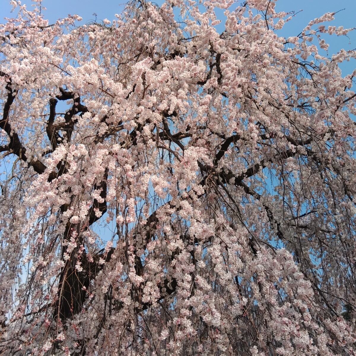 KIMG6831_02_BURST1006831