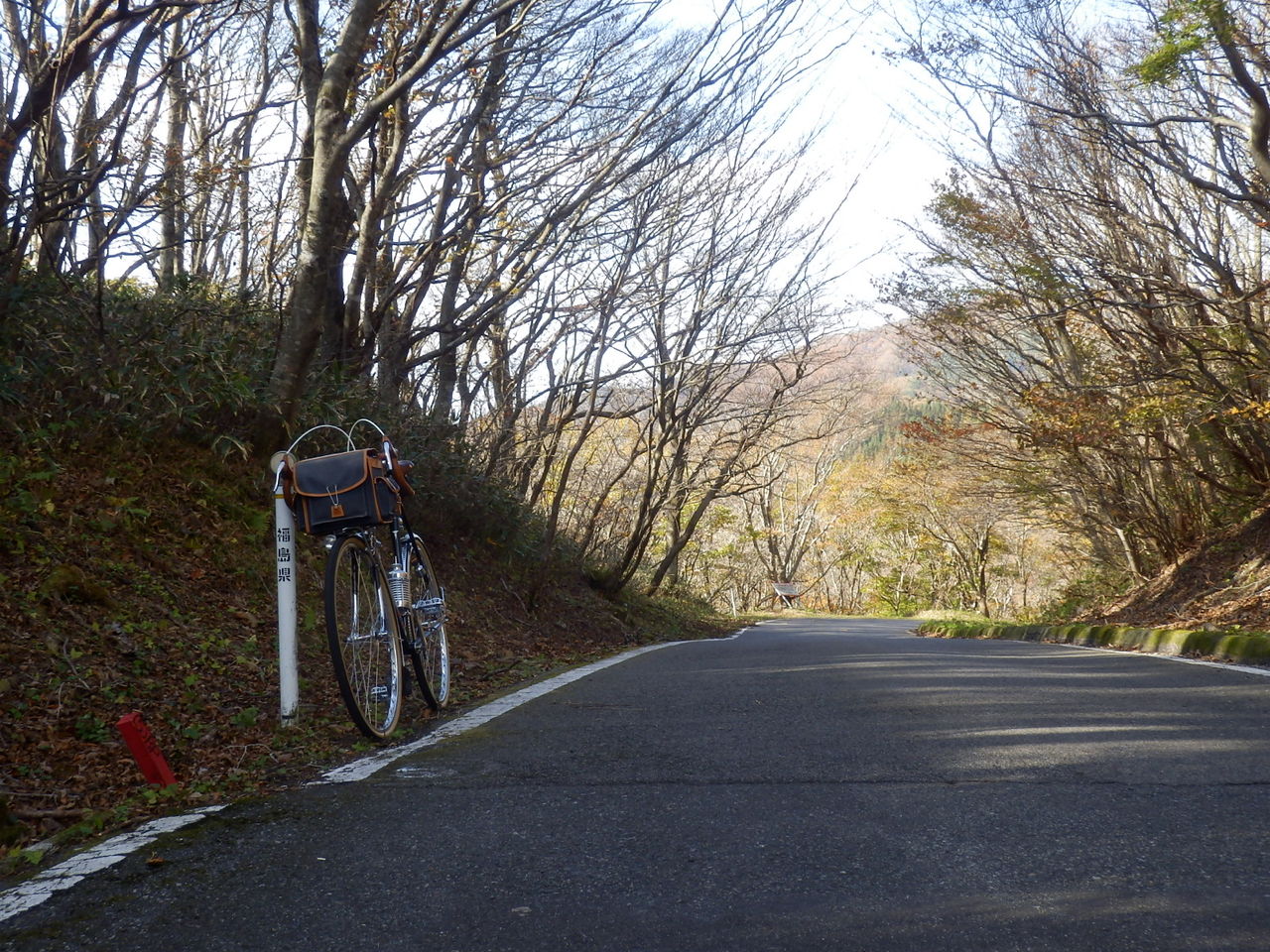 イメージ 19