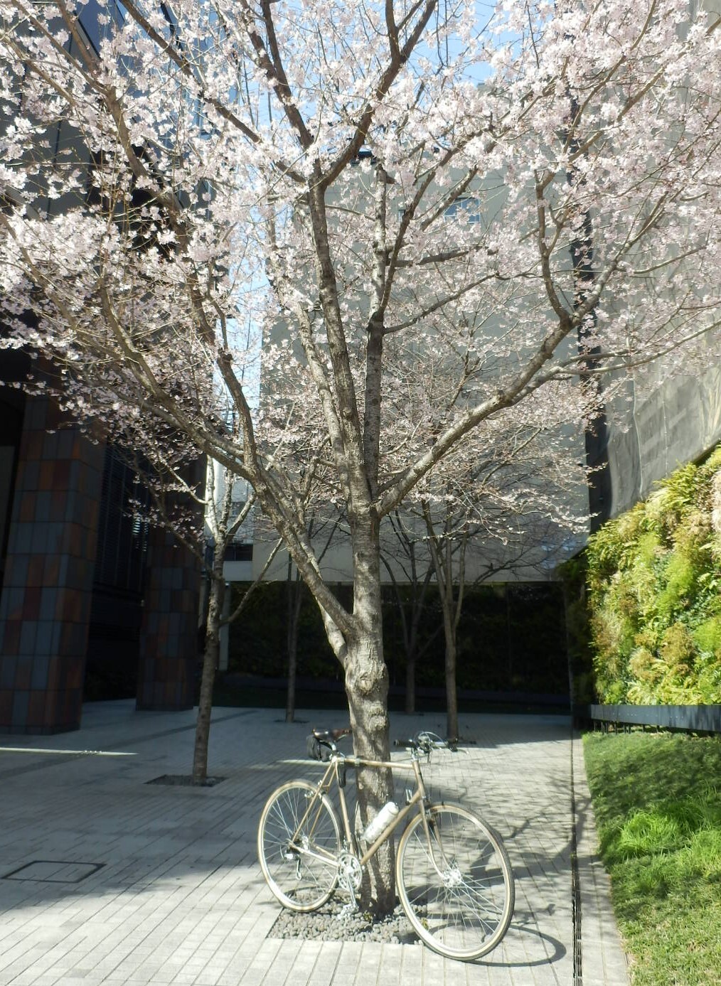 P3310016