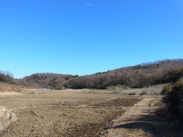 イメージ 10