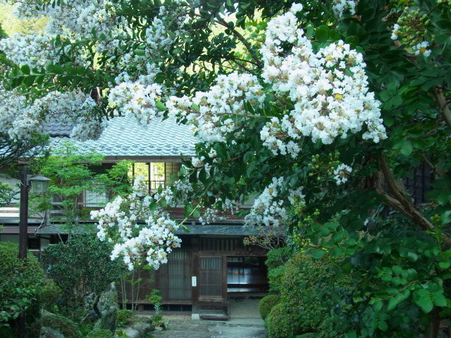 イメージ 14