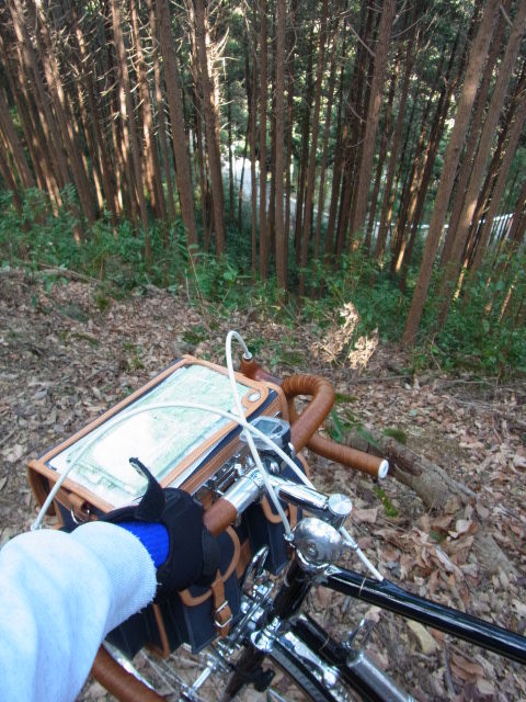 イメージ 11