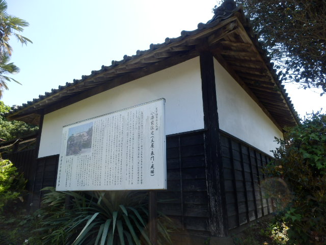 イメージ 19