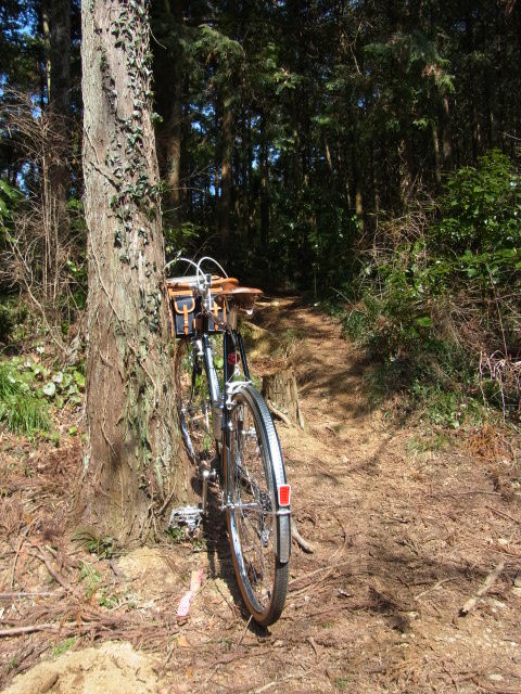 イメージ 9