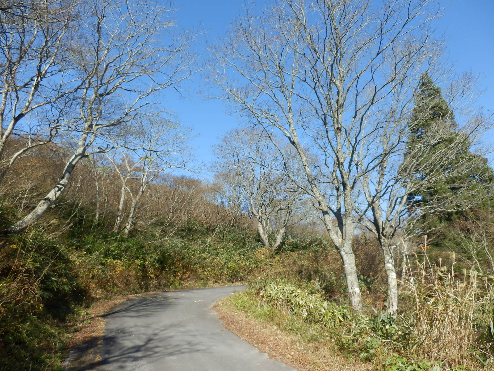 PB090089