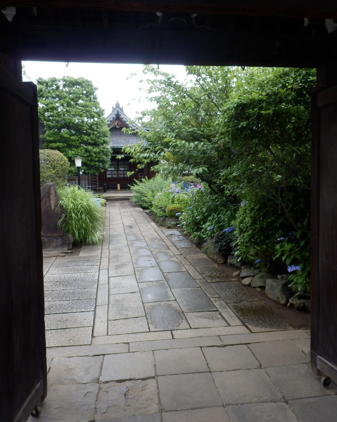 P6150010