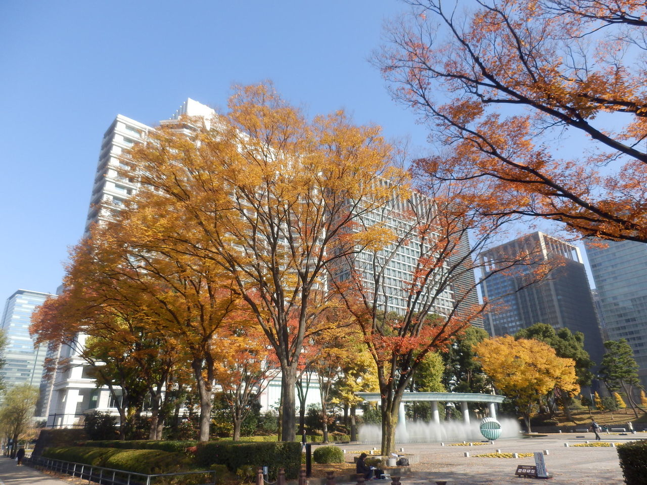 イメージ 18