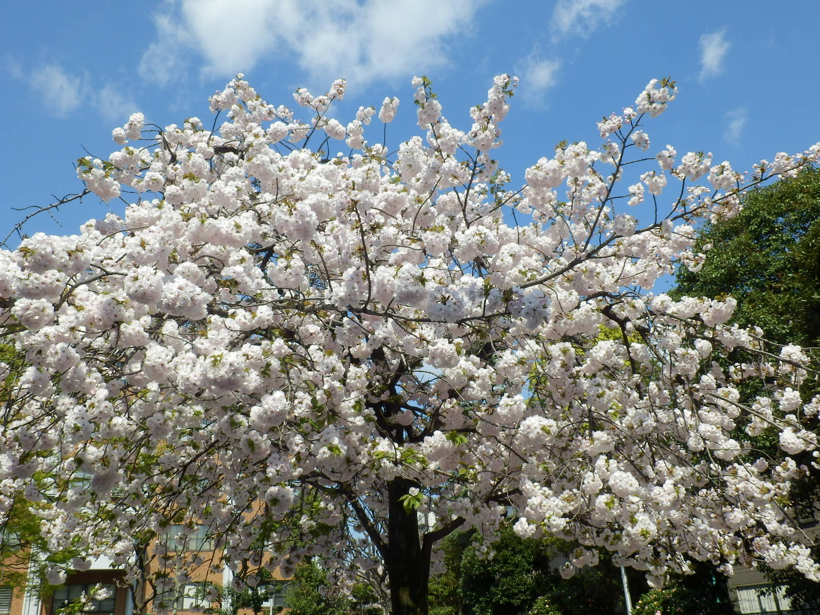 P4030001
