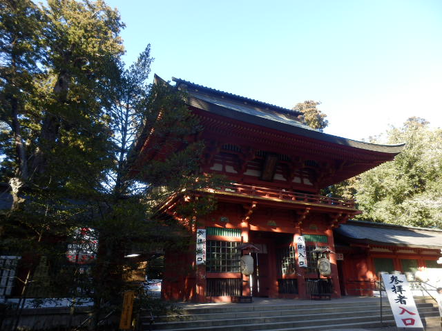 イメージ 6