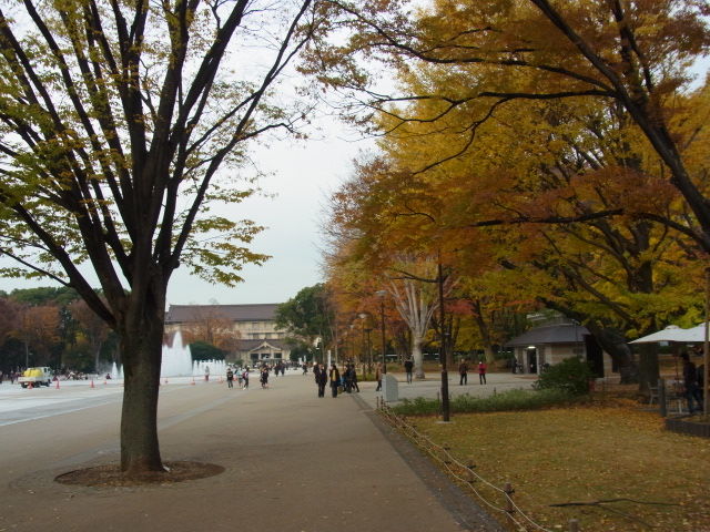 イメージ 9