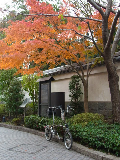 イメージ 24