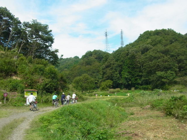 イメージ 15