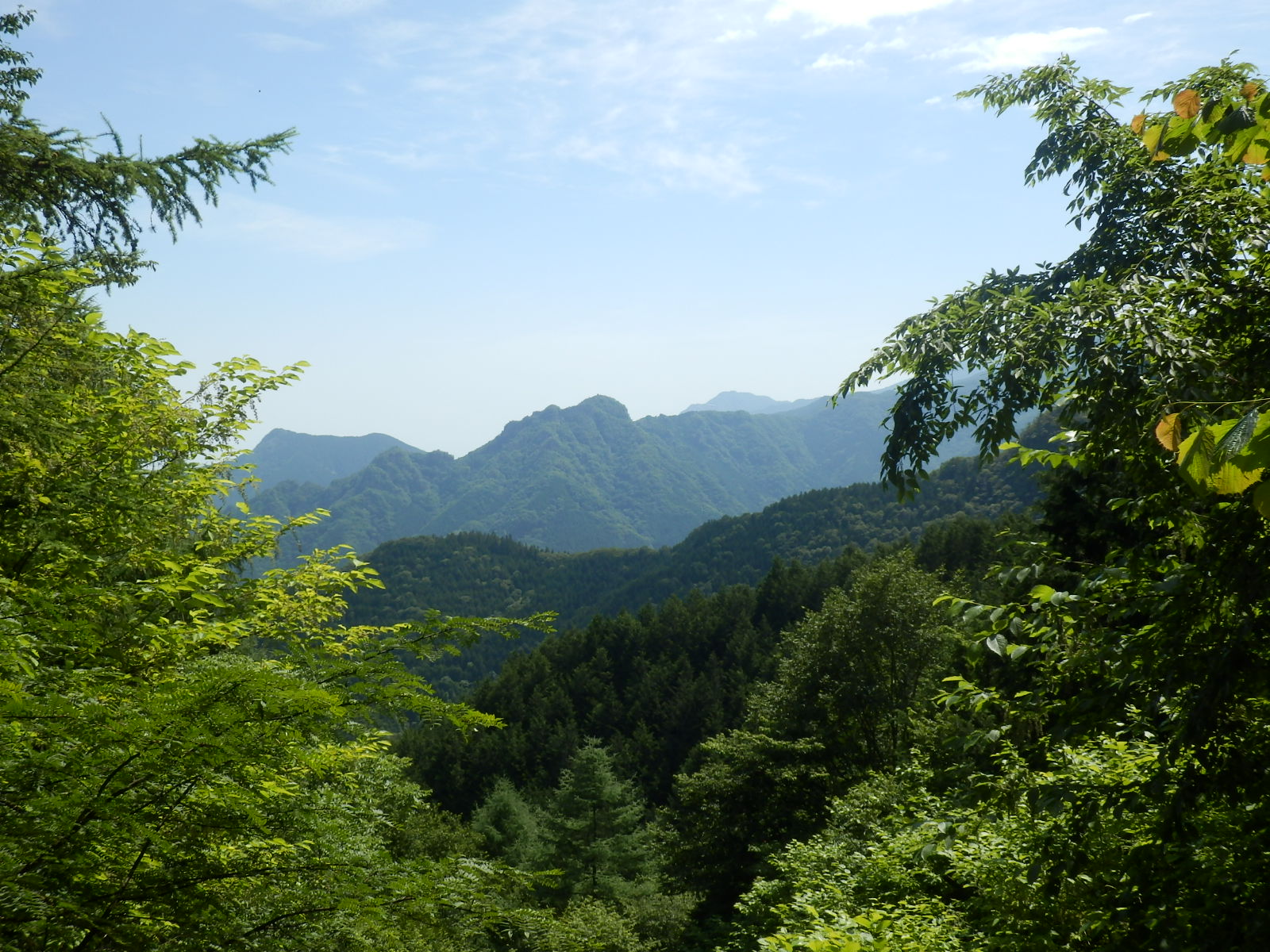 P7070105