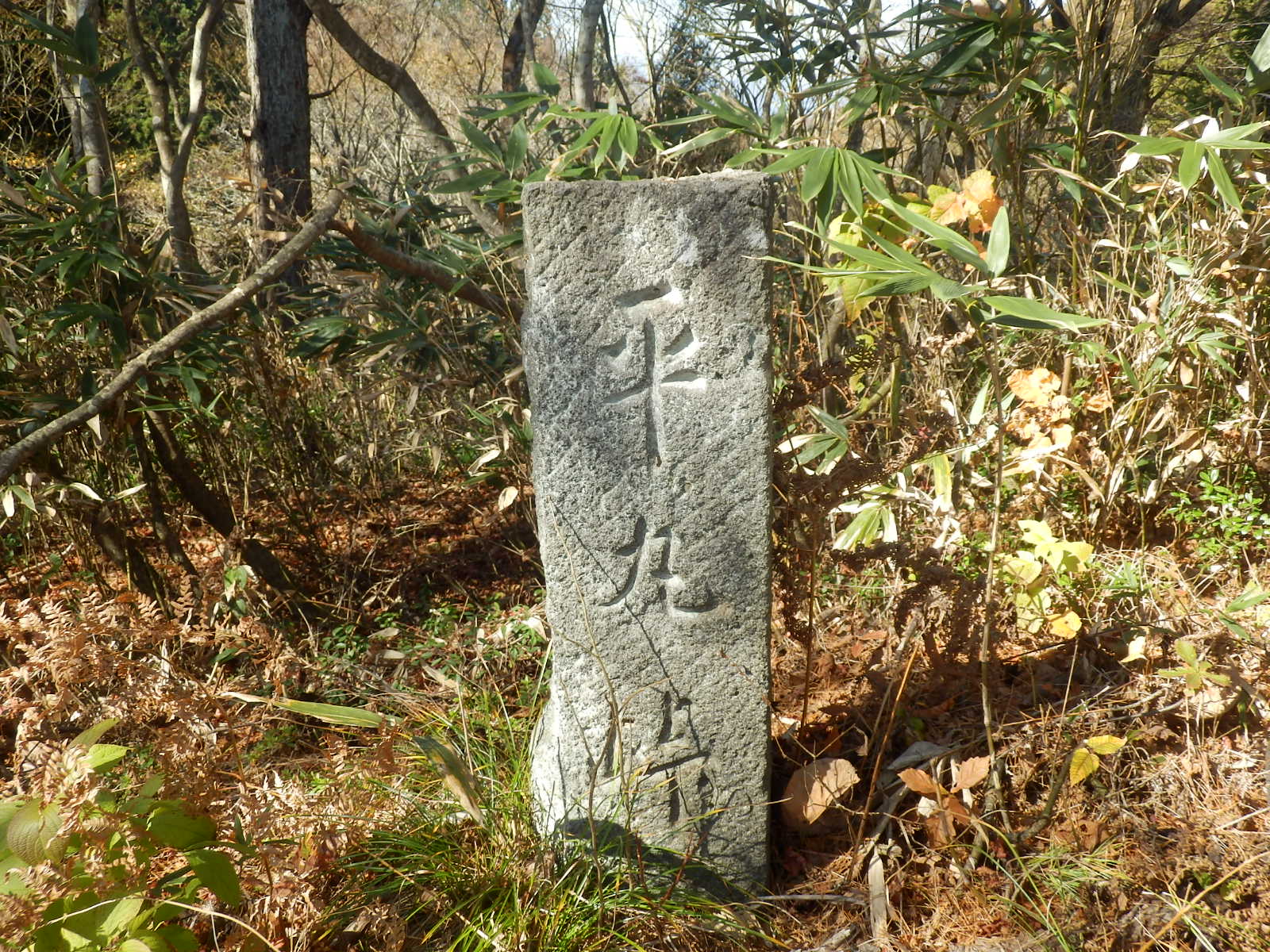 PB090109
