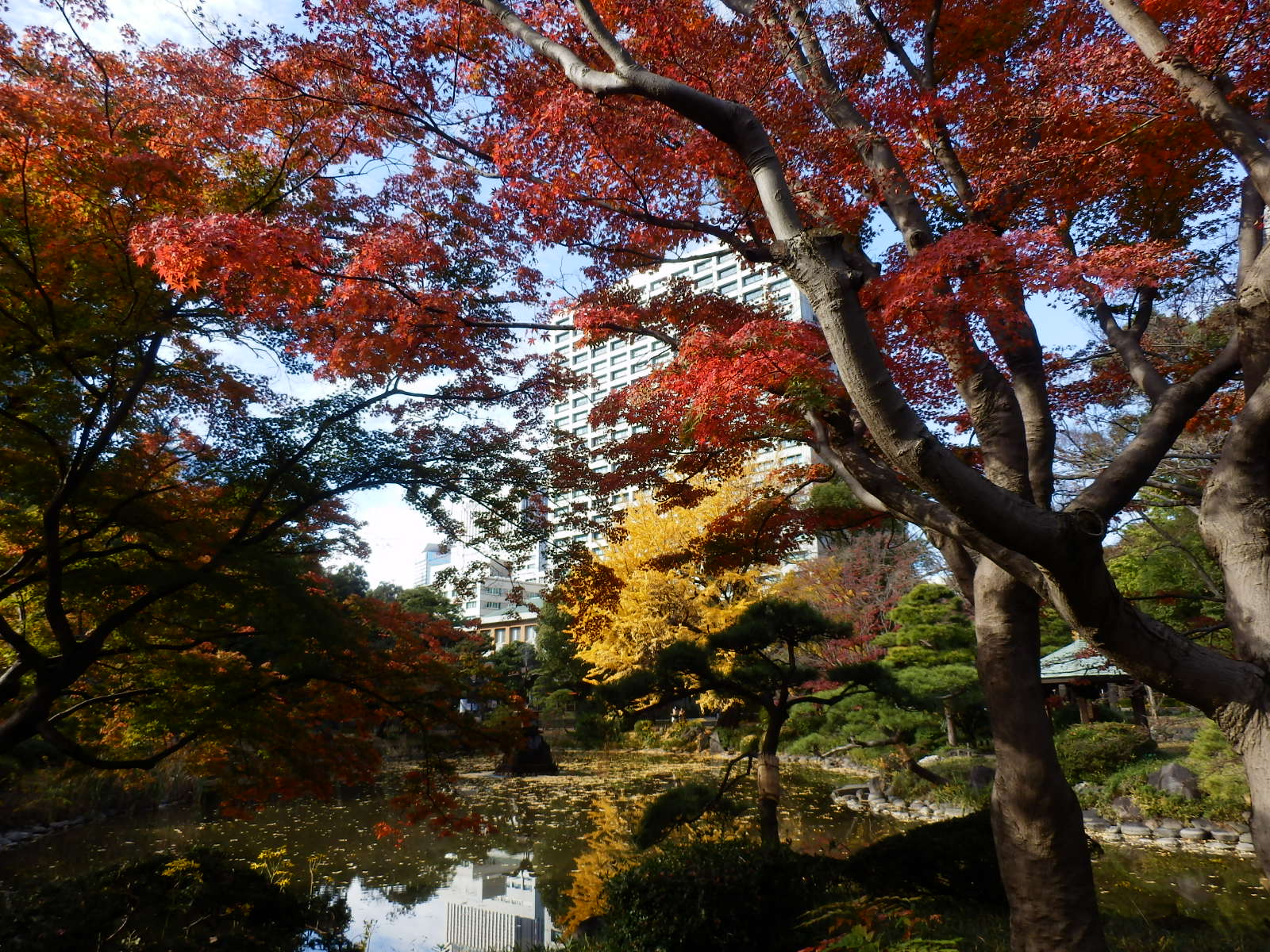 PC040029