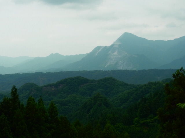 イメージ 15
