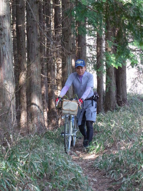 イメージ 18