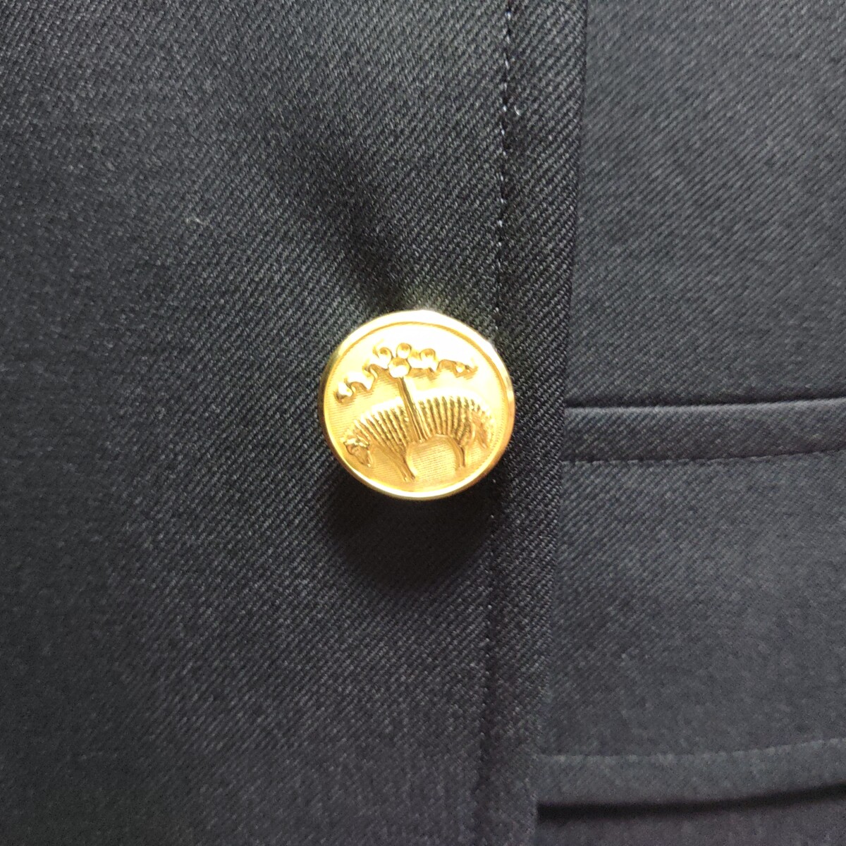 .trashed-1763468749-KIMG0162