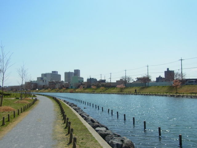 イメージ 2