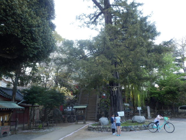 イメージ 26