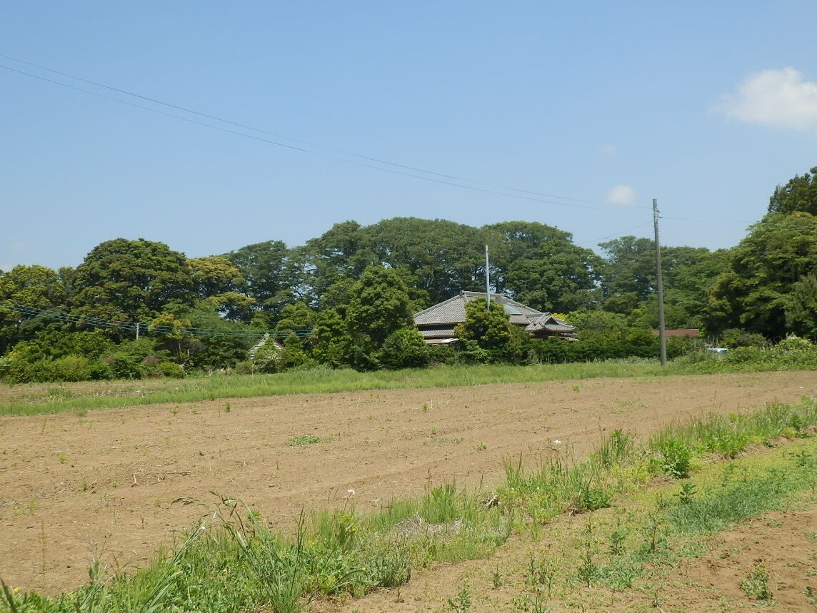 P5160113