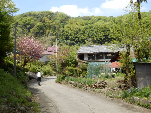 イメージ 17
