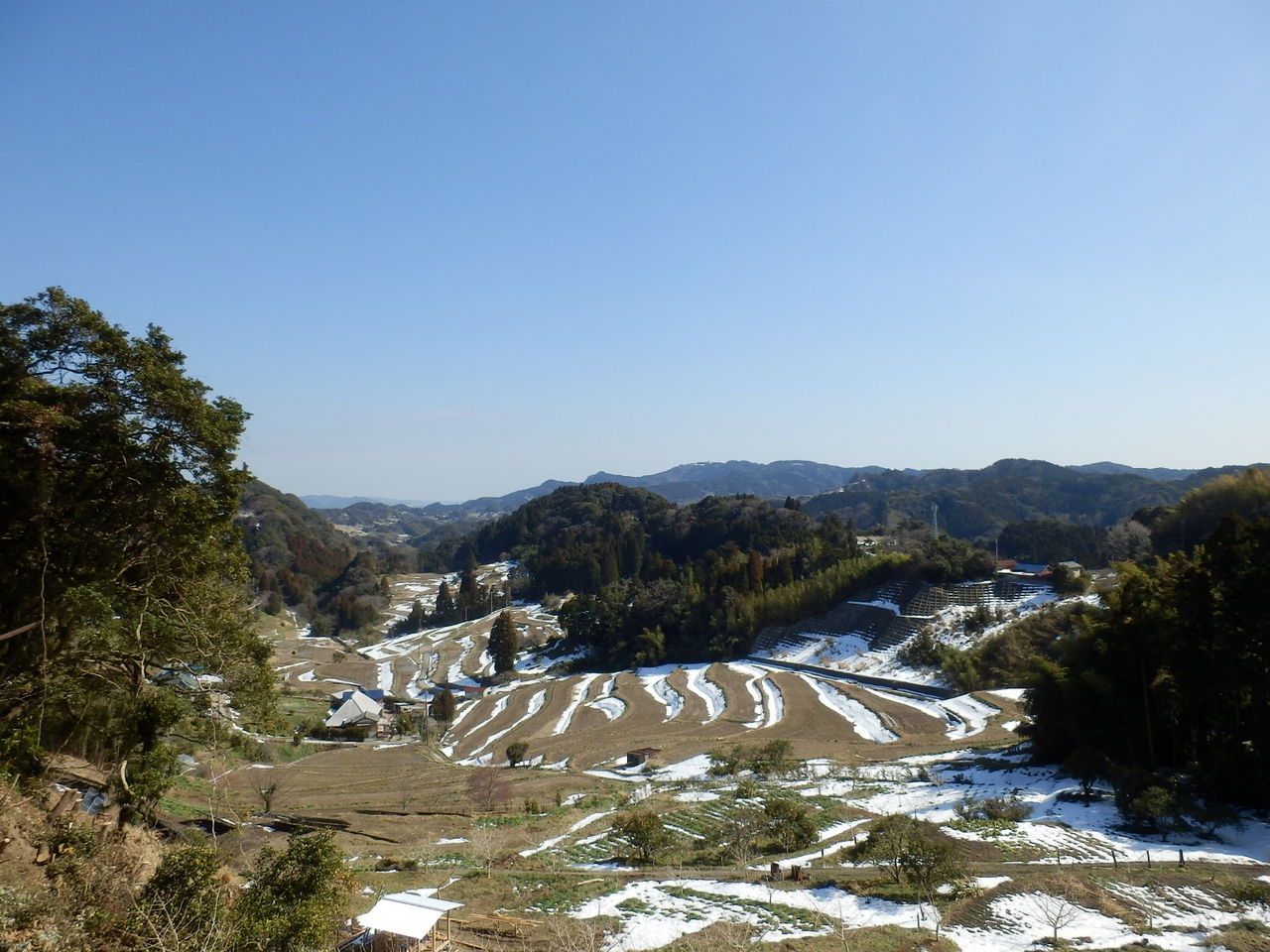 イメージ 11