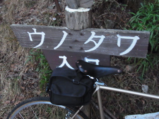 イメージ 33