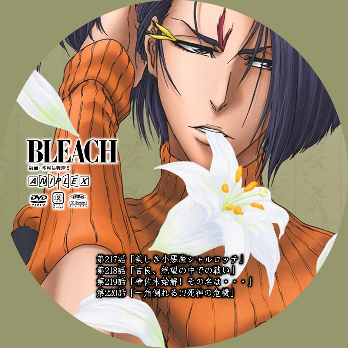 BLEACH DVD 続き : storage