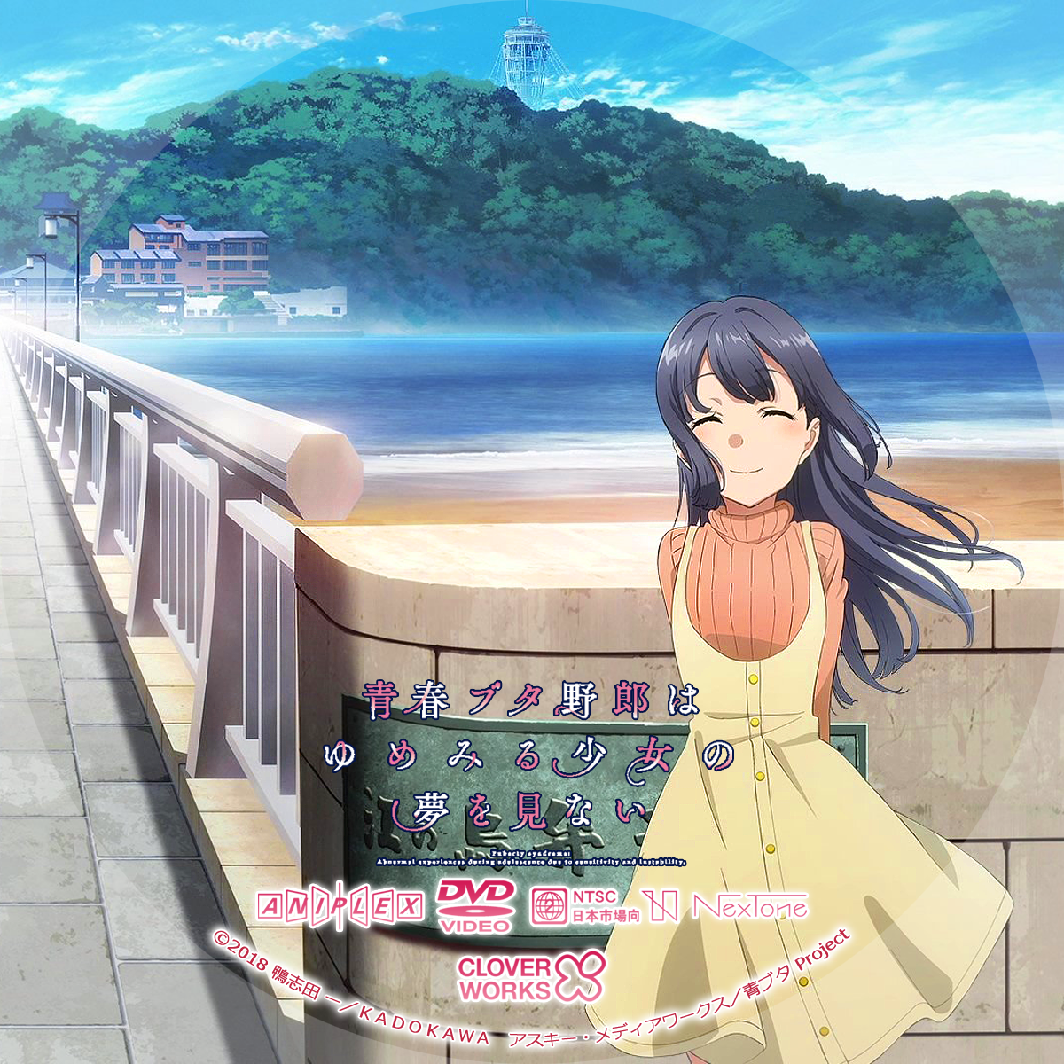 青春ブタ野郎はゆめみる少女の夢を見ない Blu Ray Storage