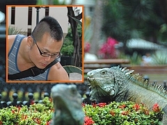 �������ʡ���