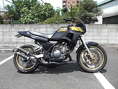 TDR250