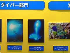 スポットライト