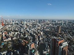 風吹いてるのに、海に行けない日々・・(;_;)
