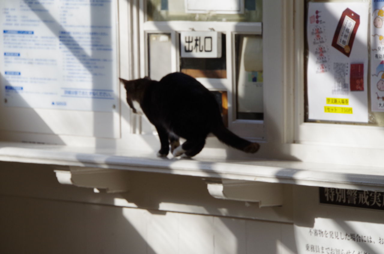 ネタ写真 Hirotomo4717のblog ネタ写真 Hirotomo4717のblog