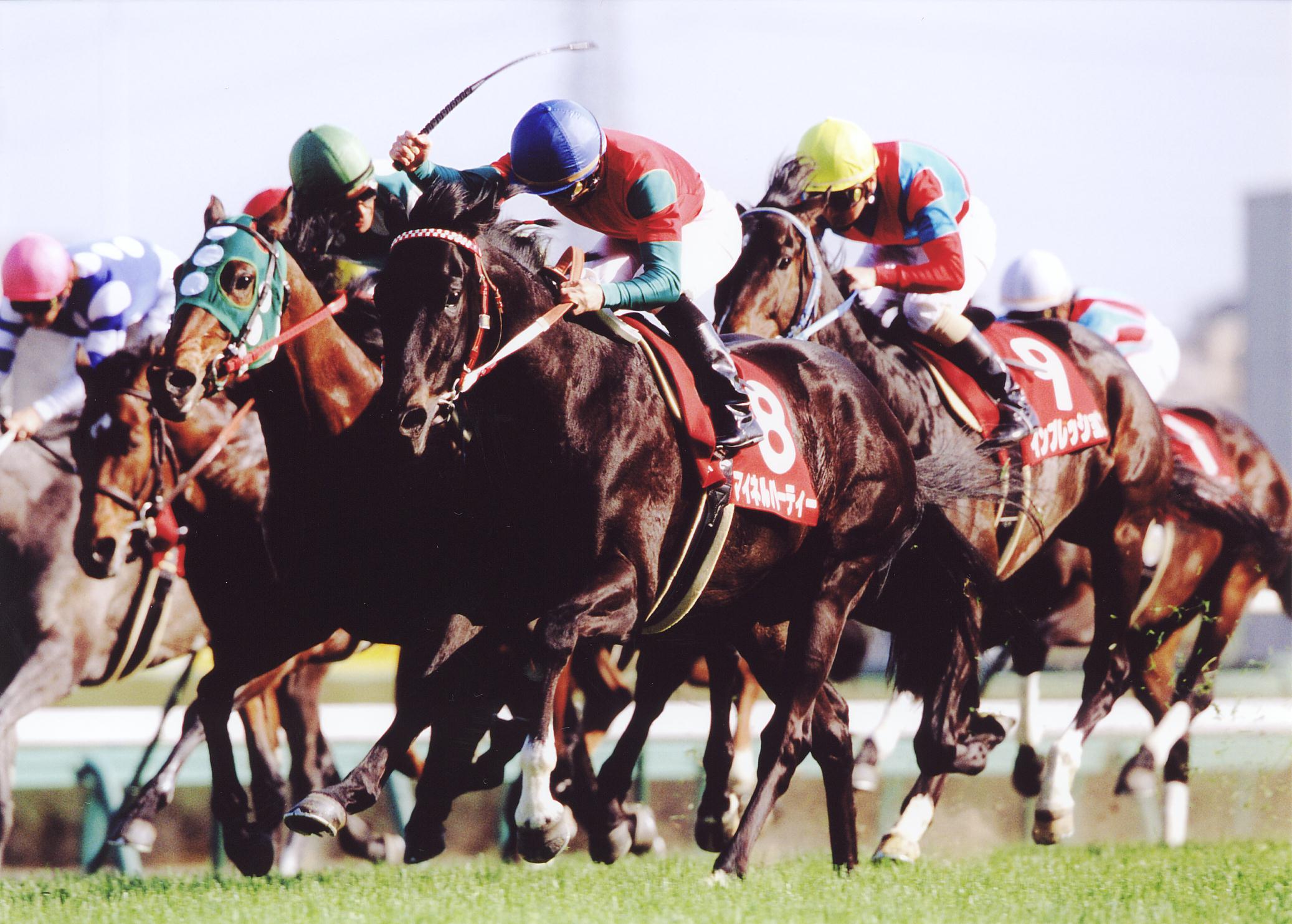 タテメオヤジの無鉄砲プチ投資家日記 競馬