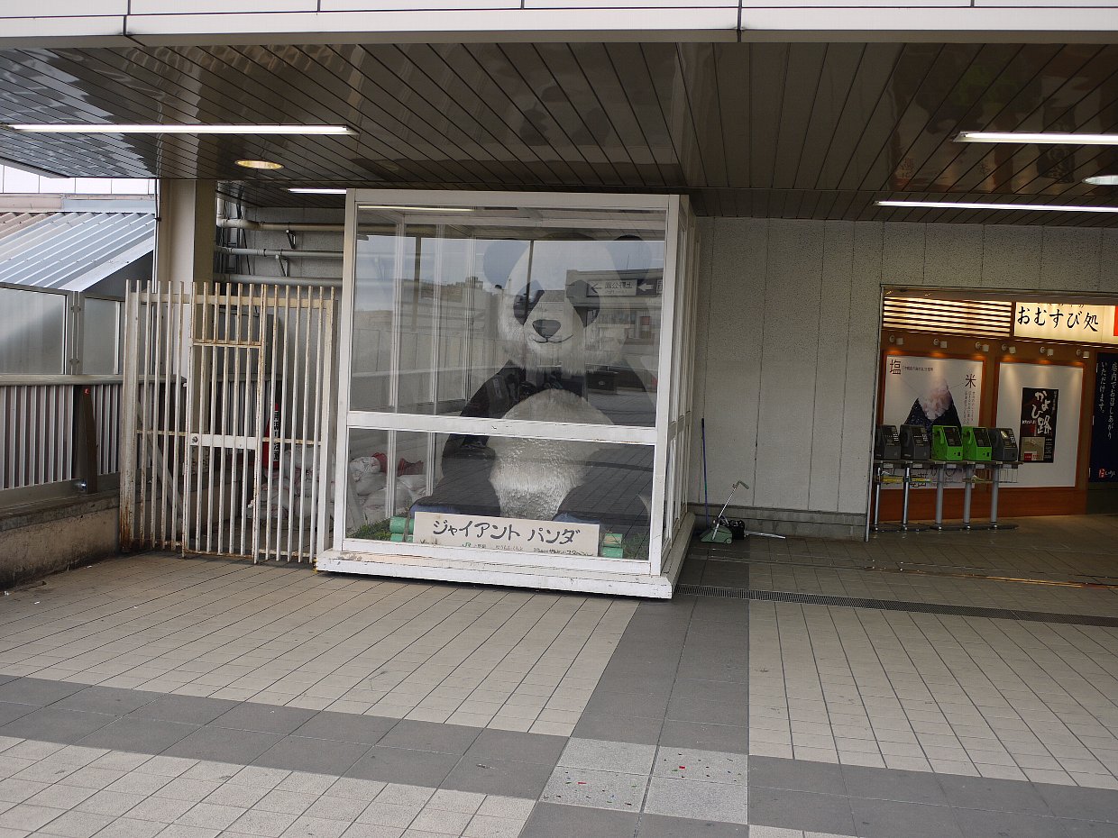 東京都恩賜上野動物園 １ タテメオヤジの無鉄砲プチ投資家日記