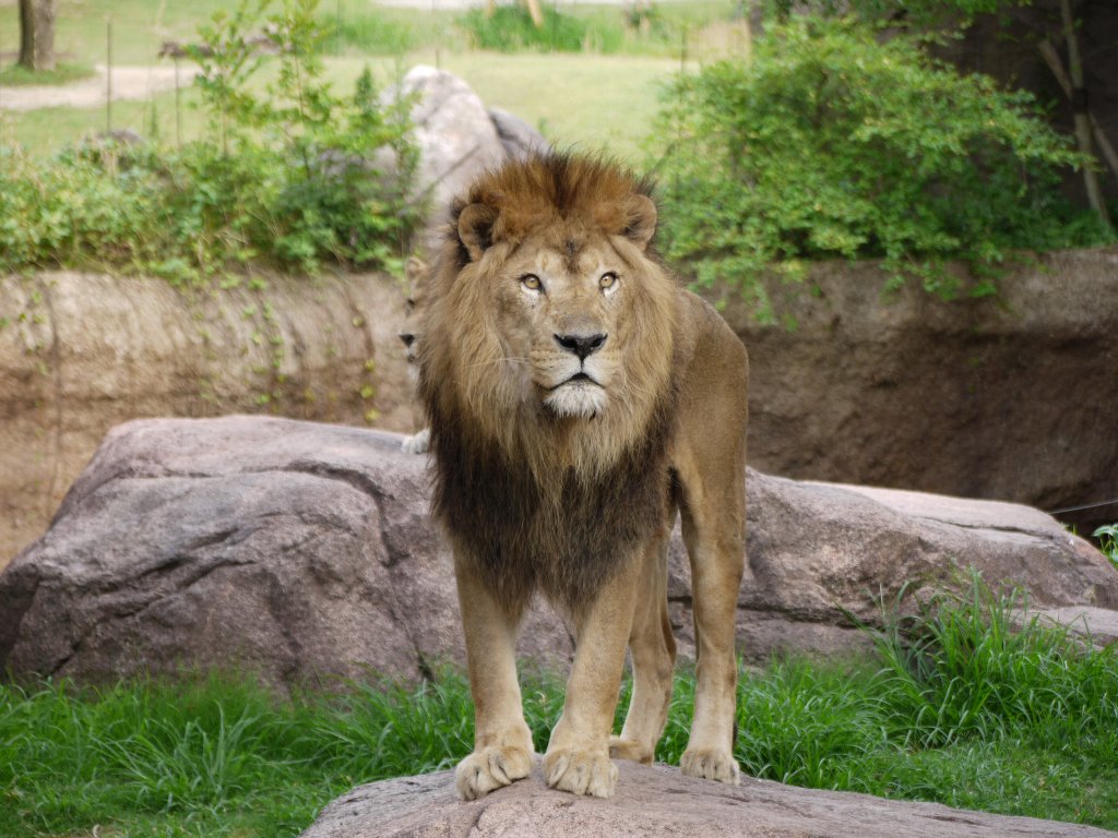 天王寺のライオン３ １ タテメオヤジの無鉄砲プチ投資家日記