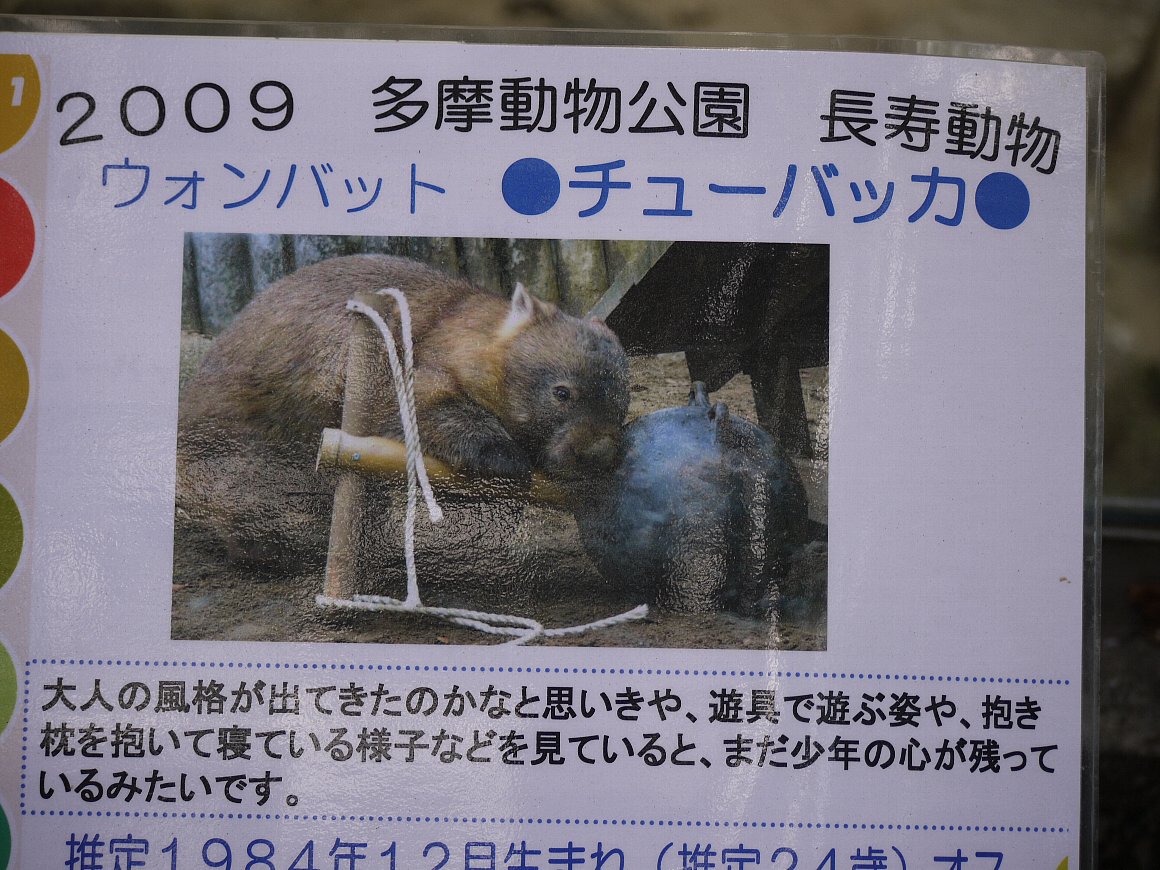９月２４日の多摩動物公園 ９ いろいろ タテメオヤジの無鉄砲プチ投資家日記
