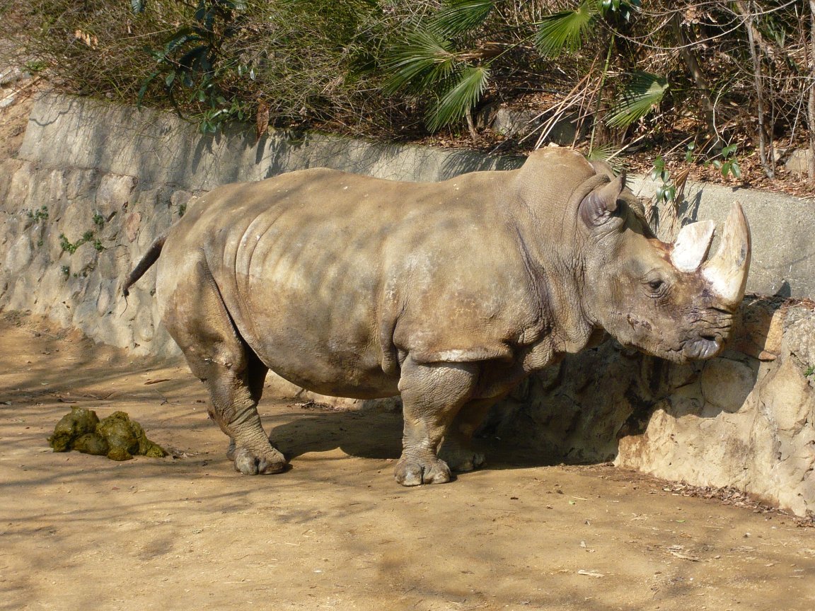 王子動物園 タテメオヤジの無鉄砲プチ投資家日記