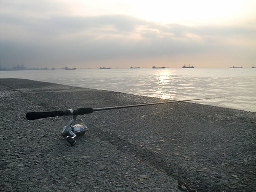 へちべぇ 夜釣りの釣り ヘチ釣り