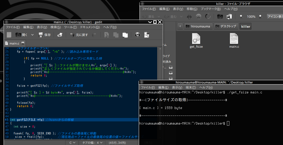 ちょっと息抜き C言語でファイルサイズを取得 Linuxをはじめよう