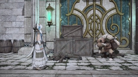 イシュガルド 楓のff14日記